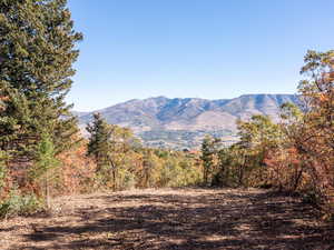 Mountain view