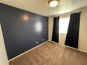 Spare room with carpet floors and a textured ceiling