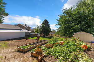 View of yard featuring a vegetable garden and a storage unit