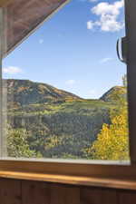 Mountain view with a heavily wooded area