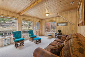 Carpeted living area featuring a wood ceiling with exposed beams, wood walls, and heating unit