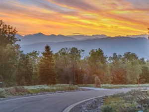 Mountain view featuring a forest