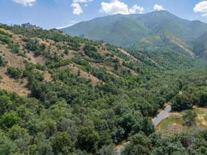View of mountain backdrop featuring a forest