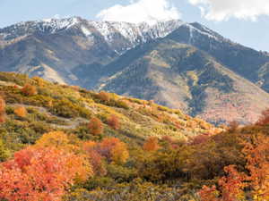 View of mountain backdrop