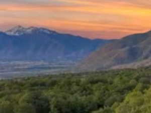 View of mountain background featuring a forest