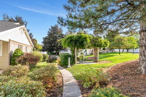 View of property's community with a yard