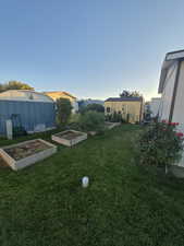 View of green lawn featuring a vegetable garden