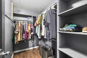 Spacious closet featuring dark wood-style flooring