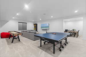 Large Downstairs rec room