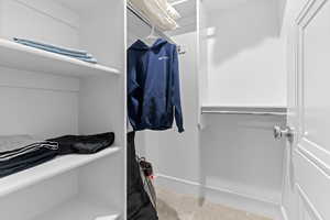 Basement Bedroom 5 with walk-in closet and en-suite bath