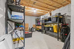 HUGE storage room under the back patio