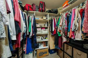 Walk in closet with light colored carpet