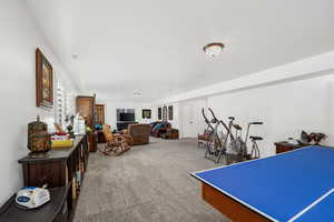 Recreation room featuring carpet