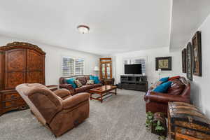 Living room with carpet