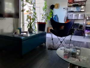 Living room featuring dark wood-style floors