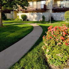 View of property's community featuring a yard