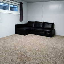 Living area featuring carpet
