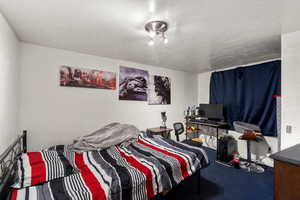 Carpeted bedroom featuring a textured ceiling
