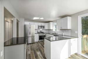 Kitchen with dark stone countertops, stainless steel appliances, white cabinets, dark wood-type flooring, and backsplash