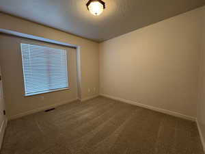 Carpeted empty room featuring baseboards and a textured ceiling