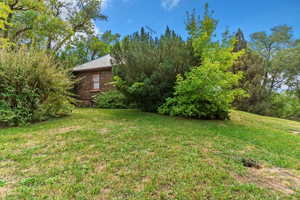 View of green lawn featuring view of scattered trees