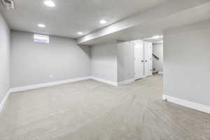 Basement Family Room