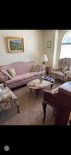 Living room featuring carpet