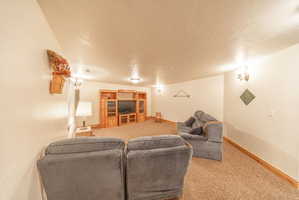 Living room with light colored carpet and a textured ceiling