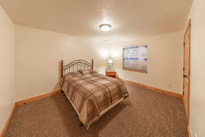 Bedroom with carpet and a textured ceiling