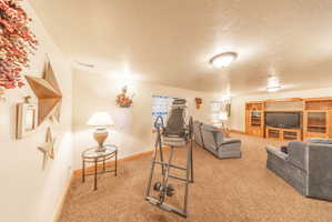 Exercise area featuring a textured ceiling and light colored carpet