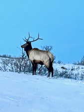 View of property's community