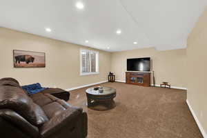 Walk-out basement with large family room with large windows allowing plenty of light with plantation shutters
