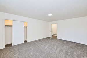 Unfurnished bedroom featuring carpet flooring, a closet, and a textured ceiling