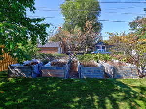 View of grassy yard with a vegetable garden