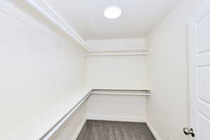 Spacious closet with dark carpet