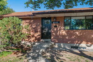 Brand new front door