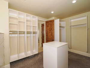 Spacious closet with dark carpet