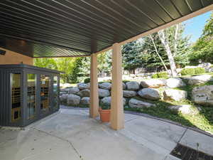 Lower Level Walk--out with Sauna