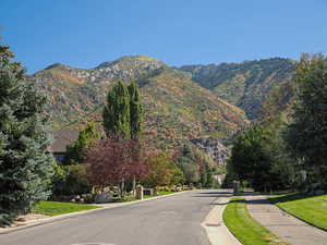 Mountain Views at the Curb