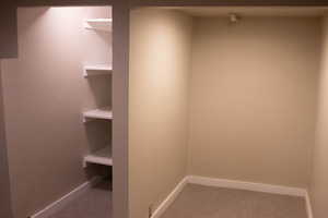 Walk in closet with light carpet