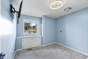 Carpeted Bedroom