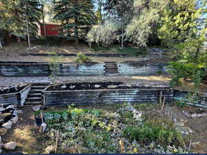 View of backyard from balcony