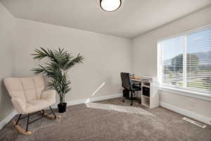 Home office with carpet floors
