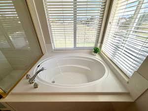 Detailed view of a bath and a shower stall