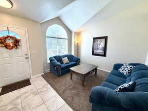 Living room featuring a textured ceiling, vaulted ceiling, and carpet