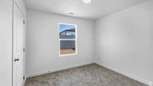Unfurnished bedroom featuring carpet flooring, a closet, and a textured ceiling
