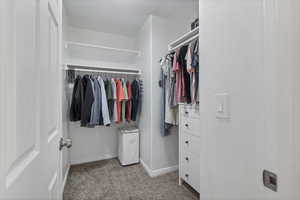 Walk in closet featuring carpet flooring