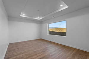 Empty room with a tray ceiling and light wood-style floors