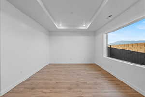 Empty room with light wood-style floors, a tray ceiling, and a mountain view