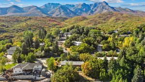 Aerial view of a mountainous background and a heavily wooded area